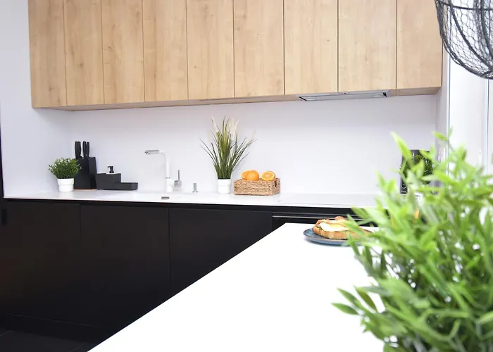 Totu Idea Oliwa Gdańsk